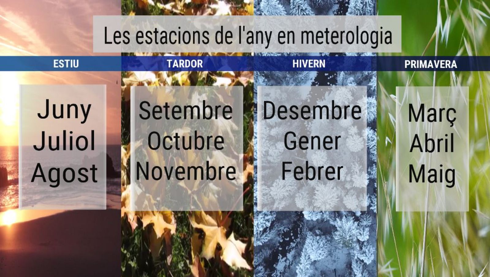 Les estacions de l'any en meteorologia | Veure