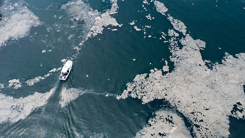 Las costas de Turquía se inundan de 'mocos marinos' por el cambio climático