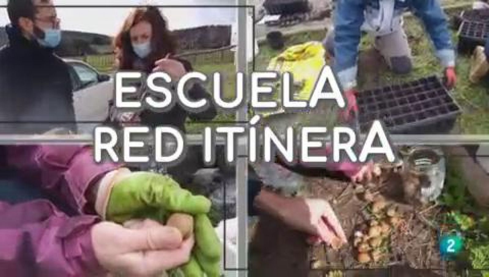 La aventura del saber Escuela Red Itinera agroecología emprendimiento multidisciplinar #AventuraSaberSociedad