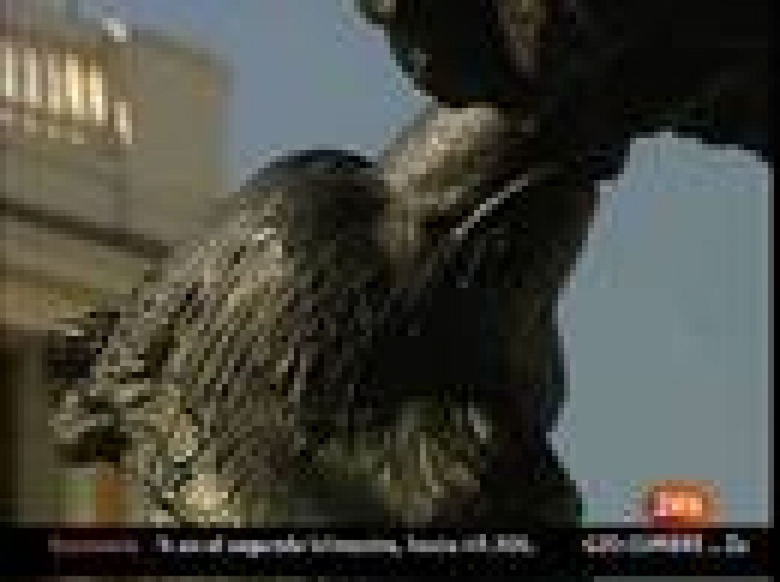 La escultura del Oso y el Madroño, que simboliza Madrid, se ha colocado a la sombra de Tío Pepe en la plaza de Sol.
