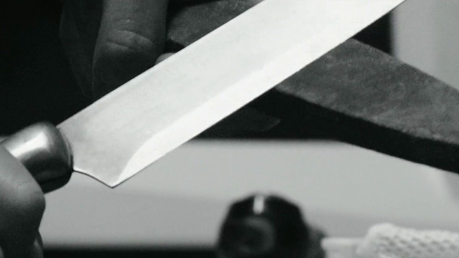 XII Concurso de Cortos RNE - #Disección - RTVE.es