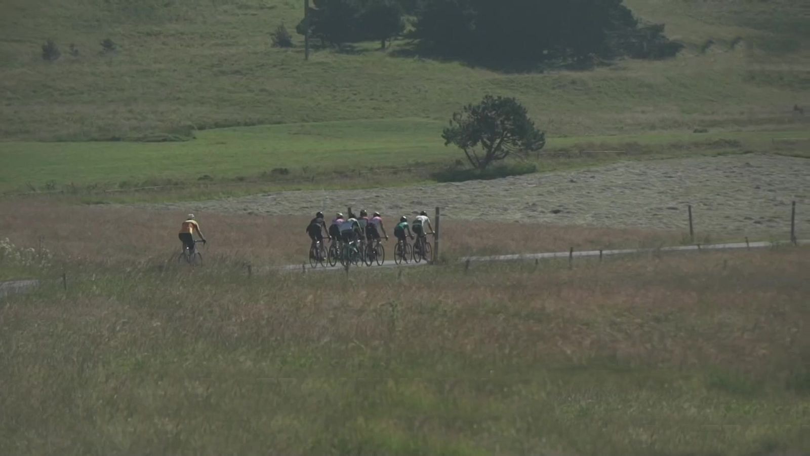 Va de Bikes - 2021 - Programa 5 - ver ahora