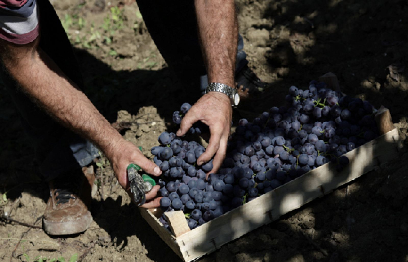 Informativo de Madrid. (25/09/09)