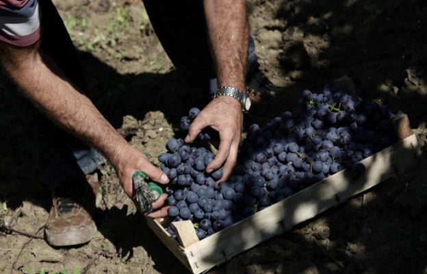 Informativo de Madrid - Informativo de Madrid - 25/09/09