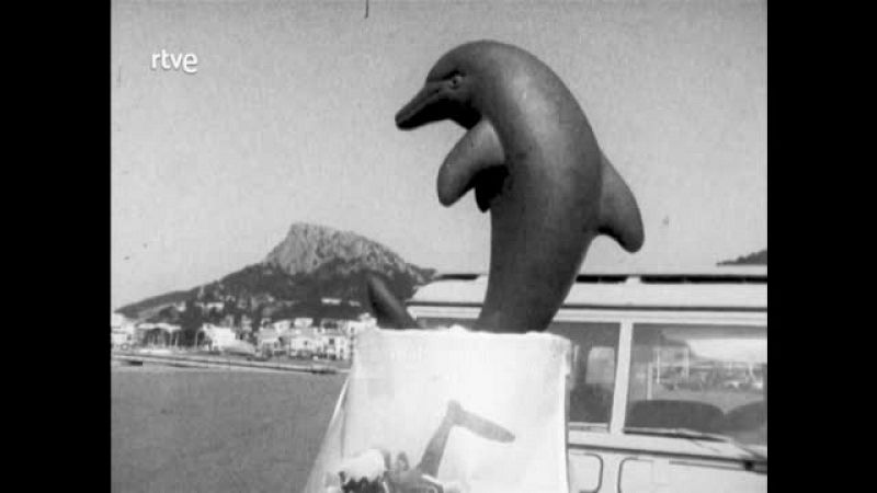 Arxiu TVE Catalunya - Miramar - Instal·lació d'un dofí al fons del mar a les Illes Medes