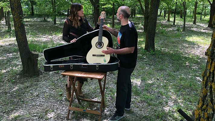 El escarabajo verde - La música del olmo