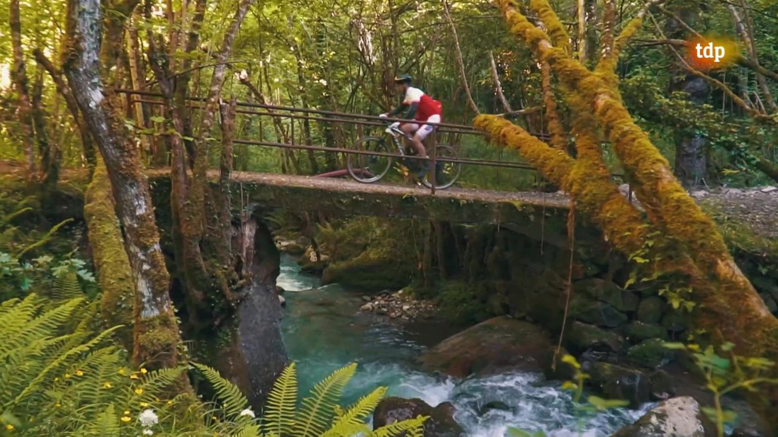 Evasión - T9 - Programa 11 - ver ahora