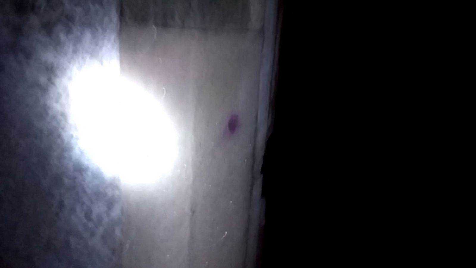 XII Concurso de Cortos RNE - Apuesta - RTVE.es