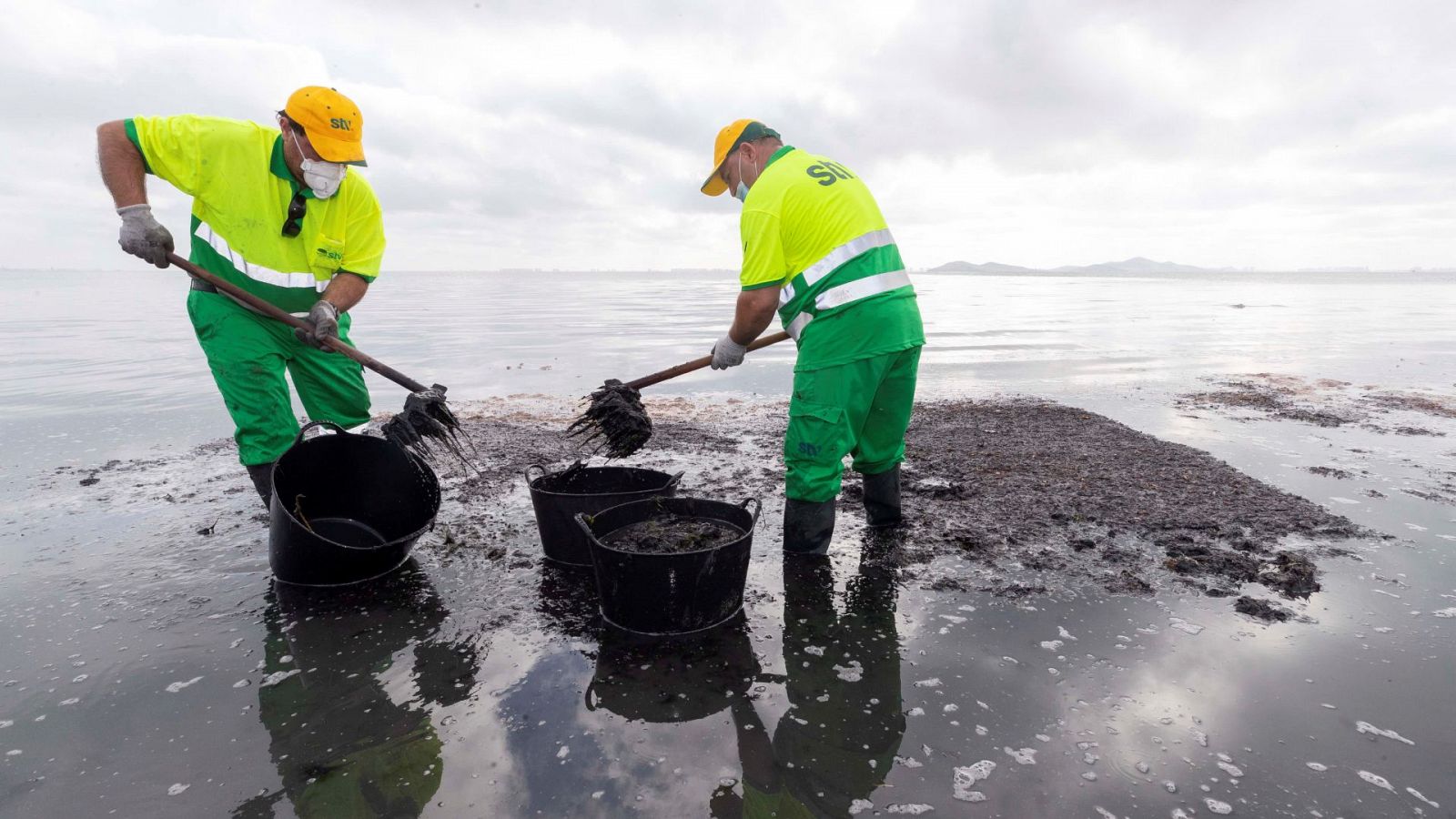 500.000 firmas para conseguir que el Mar Menor pueda ser 'persona'