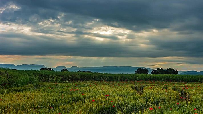 Chubascos y tormentas localmente fuertes en Baleares y el norte del área mediterránea peninsular