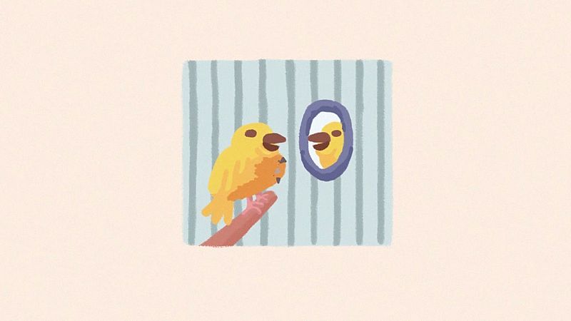 XII Concurso de Cortos RNE - Kokuruga - Ver ahora