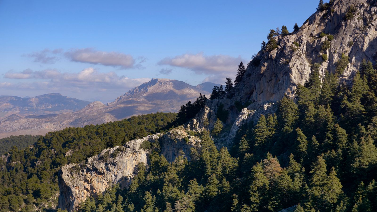 Conocemos la Sierra de las Nieves, nuevo Parque Nacional andaluz