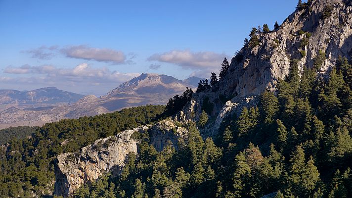 Sierra de las Nieves, tercer Parque Nacional de Andalucía