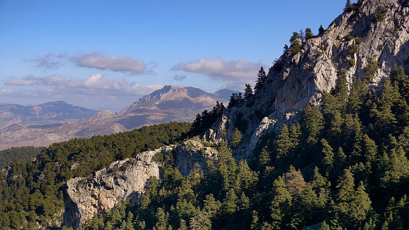 España Directo - Sierra de las Nieves, tercer Parque Nacional de Andalucía