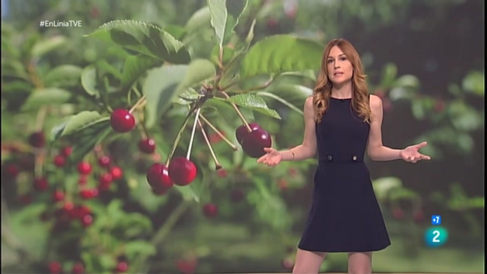 A En Línia parlem de les agressions LGTBIfòbiques, les cireres i el sexe animal