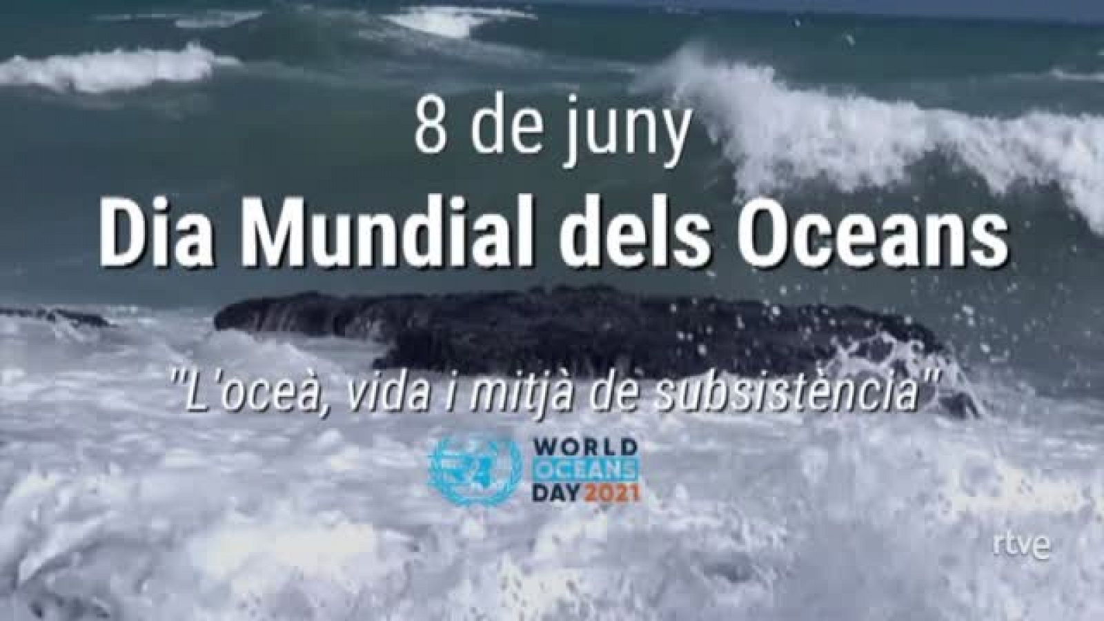 8 de juny: Dia Mundial dels Oceans