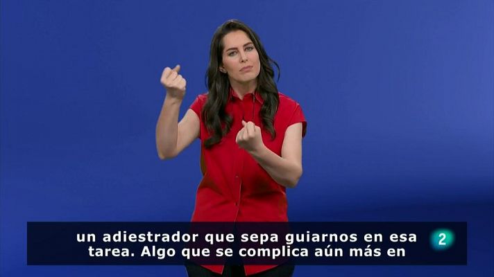 En lengua de signos - Clases accesibles de educación canina