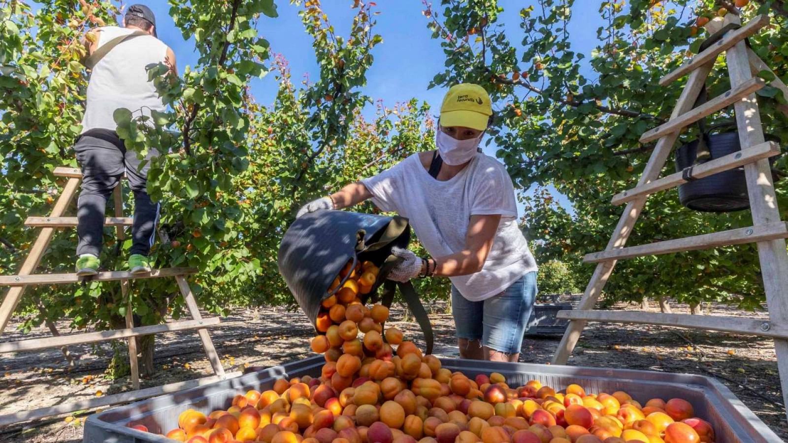 La subida del salario mínimo lastró la creación de empleo