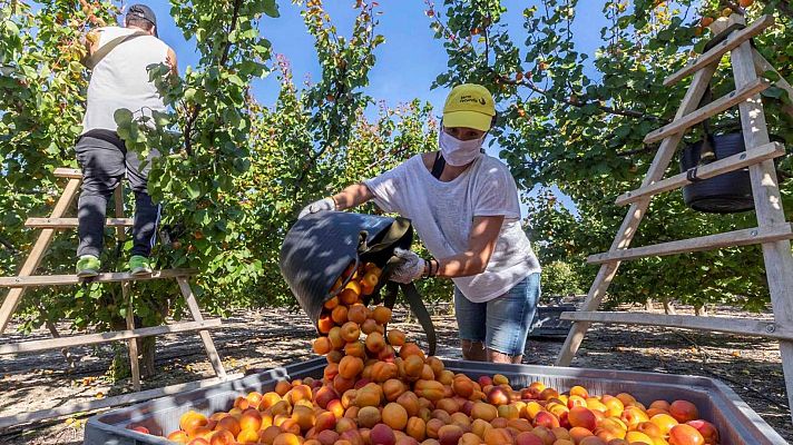 La subida del salario mínimo a 900 euros lastró la creación de empleo, según el Banco de España