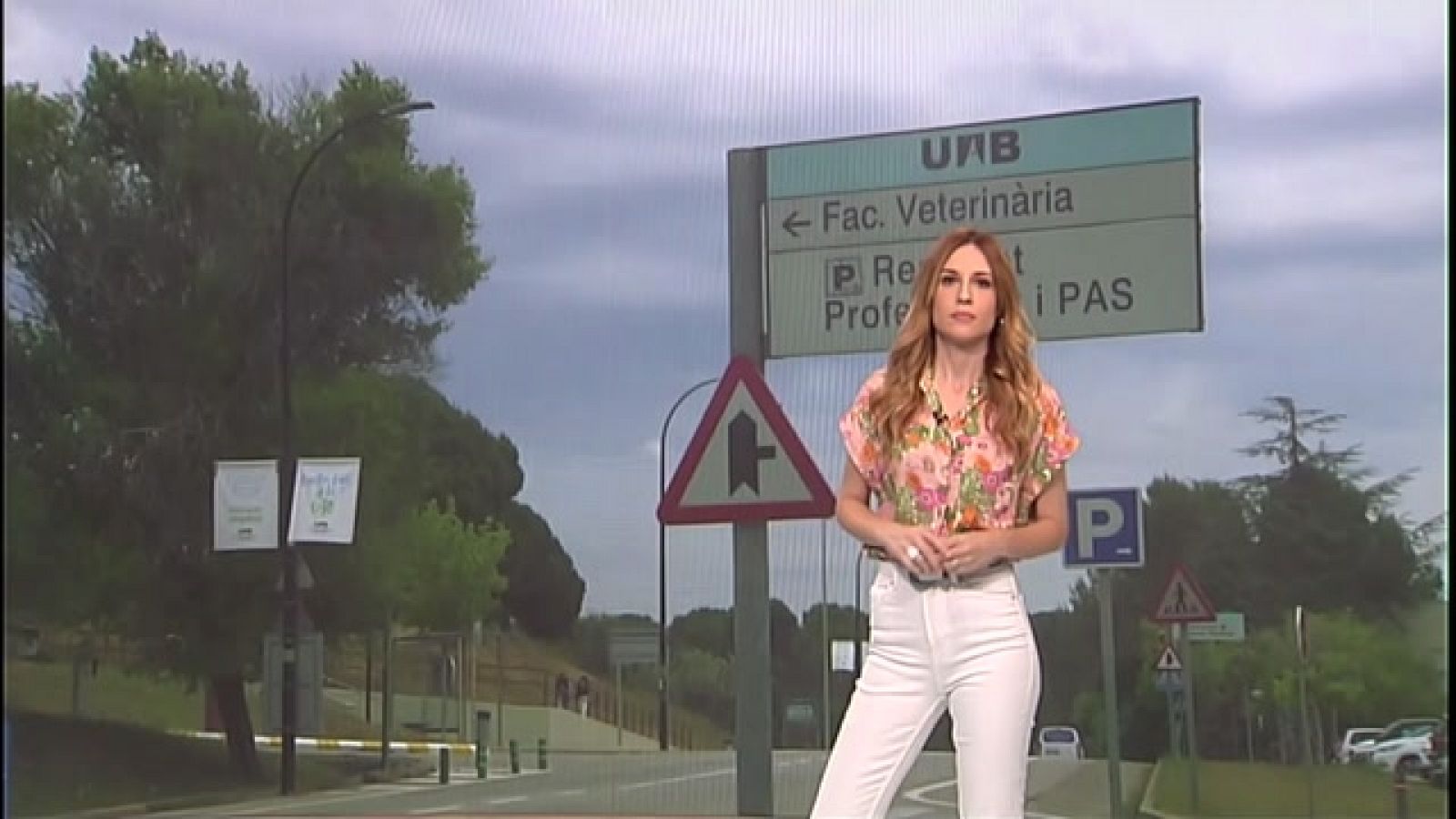 A En Línia parlem de l'assetjament a la universitat, els avis cuidadors i els àrbitres