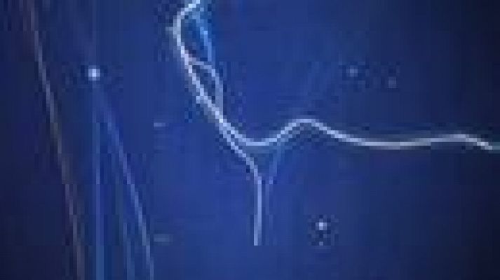 Informativo Telerioja - Informativo Telerioja 2 - 09 /06/21