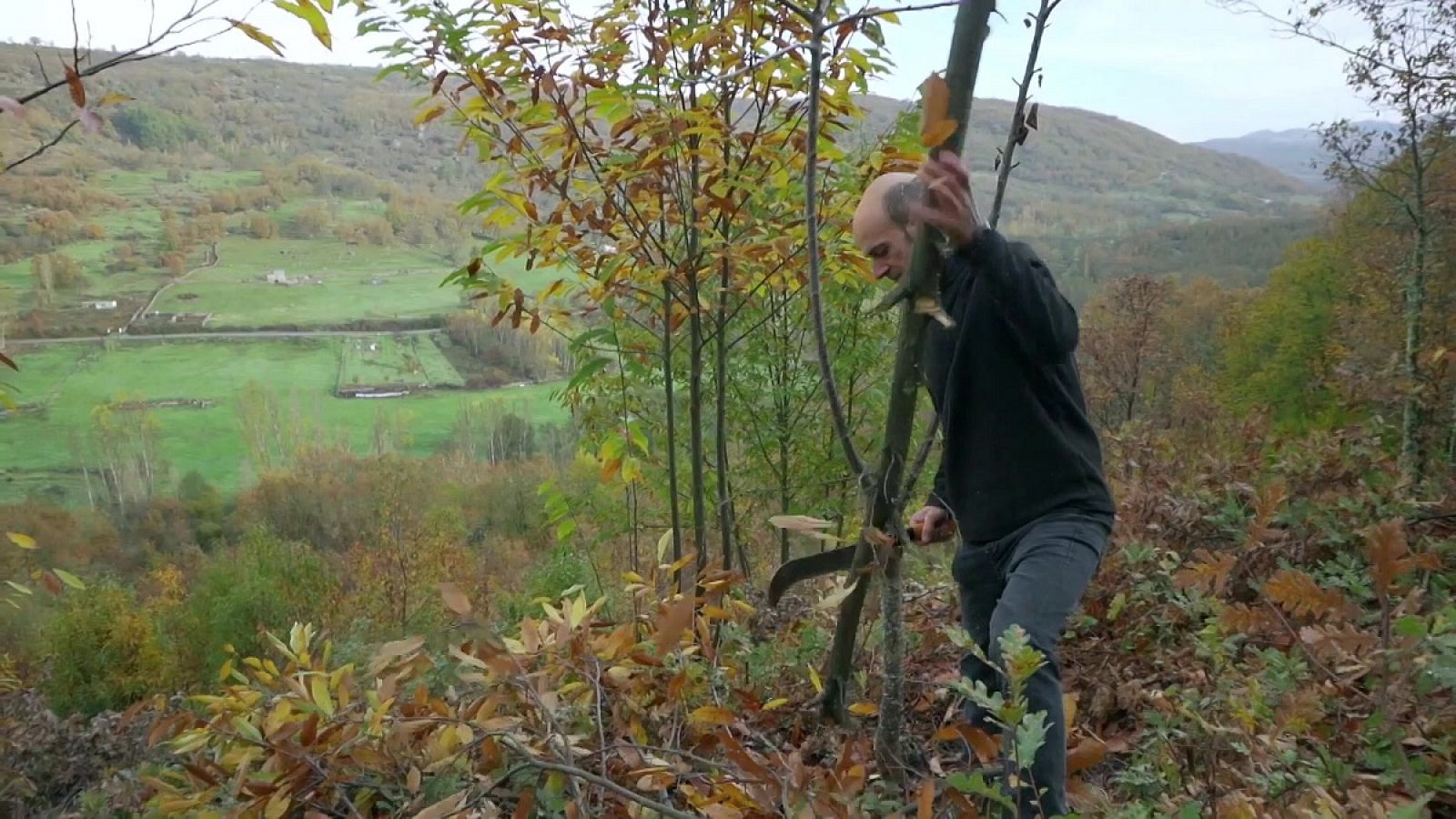 La elaboración de un cesto | Ruralitas - RTVE.es