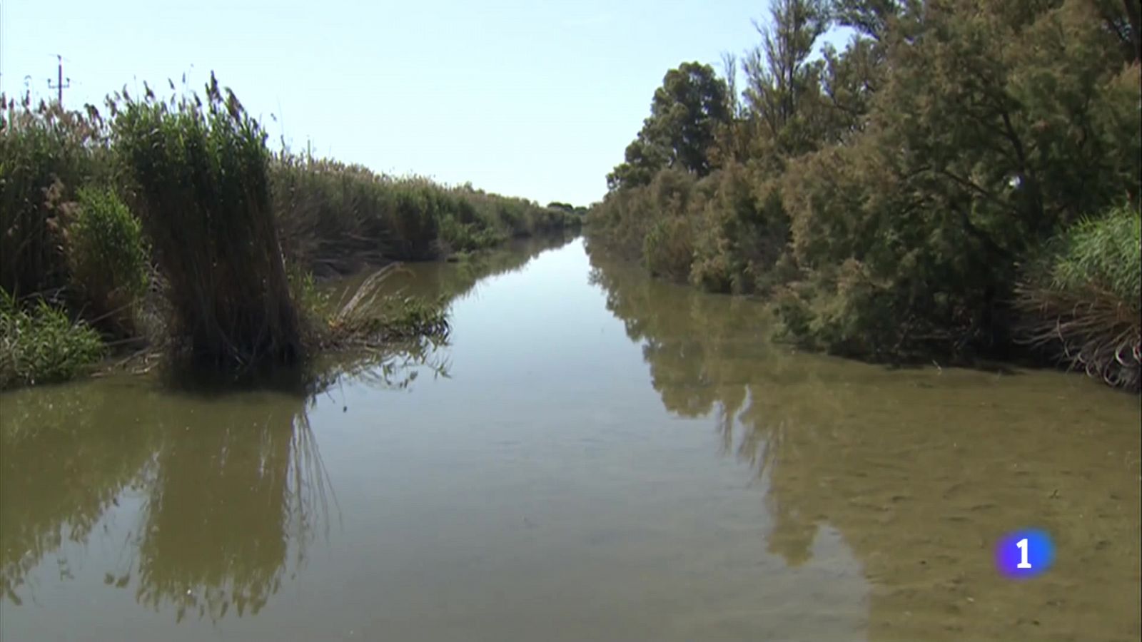 La Ricarda, un espai natural en risc