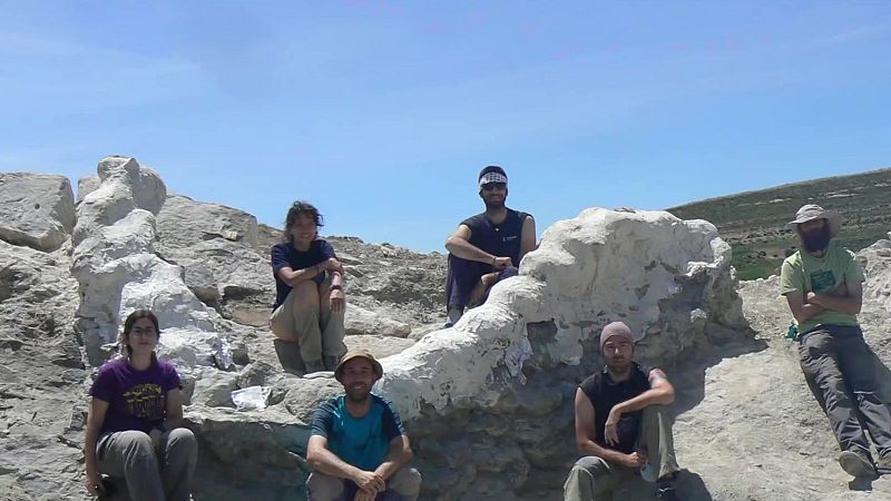 Hallan en Teruel los fósiles de un dinosaurio de más de 25 metros