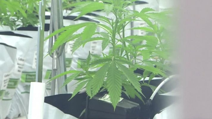 La hora cultural - La hora cultural - 10/06/21