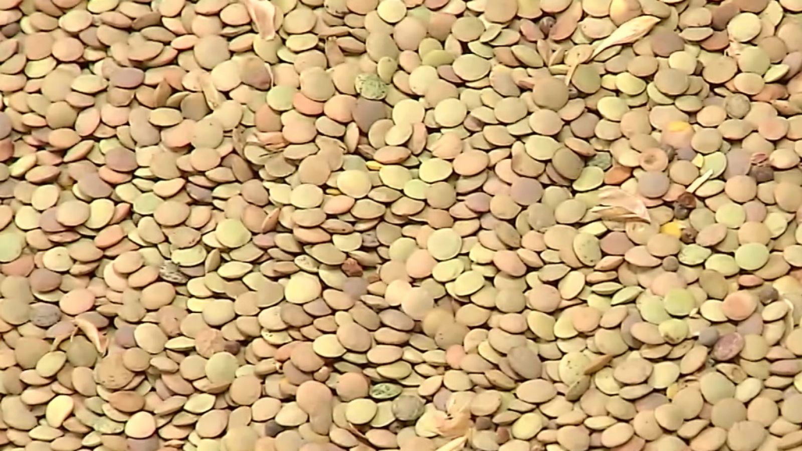 Agrosfera - 12/06/21 - ver ahora