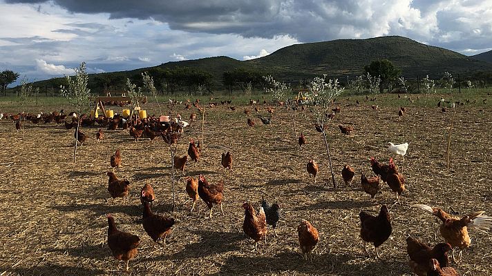 Para todos La 2 - Para todos La 2 - 12/06/21