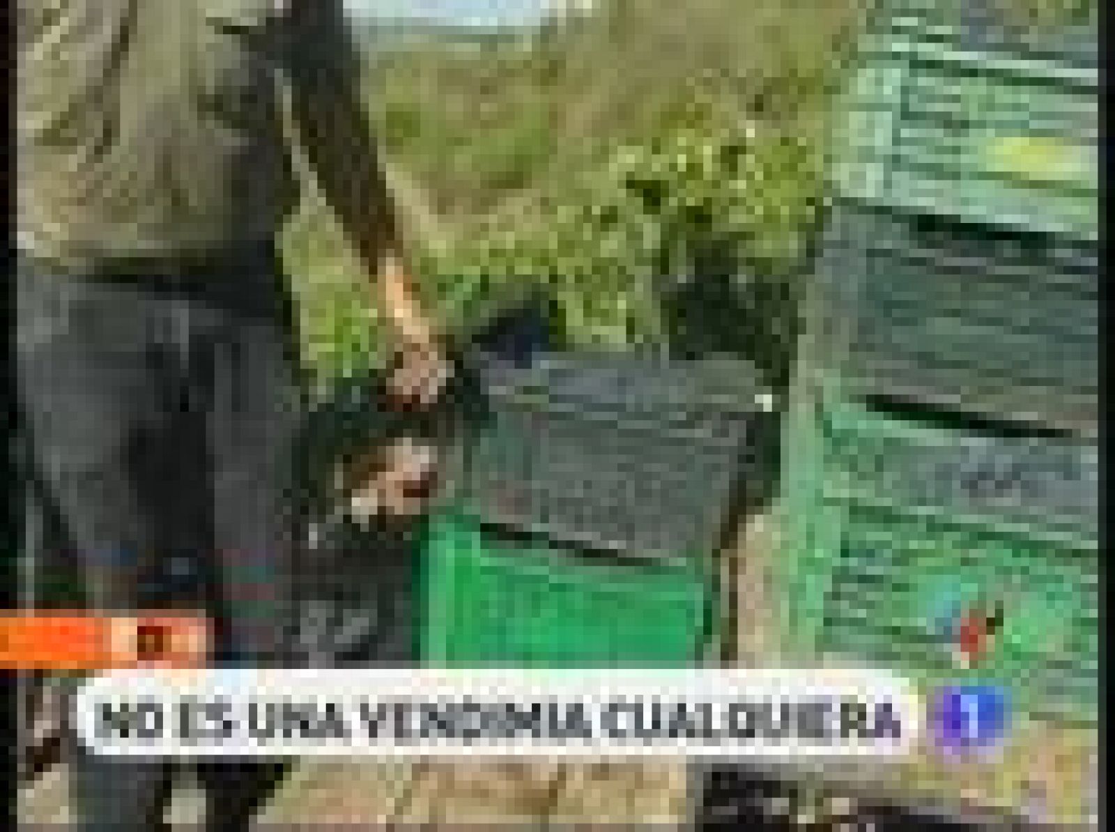 España Directo - Vendimia de vértigo | Ver