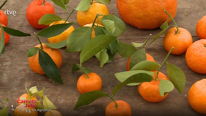 Las recetas de Julie - El encanto de los cítricos