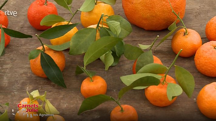 Las recetas de Julie - El encanto de los cítricos