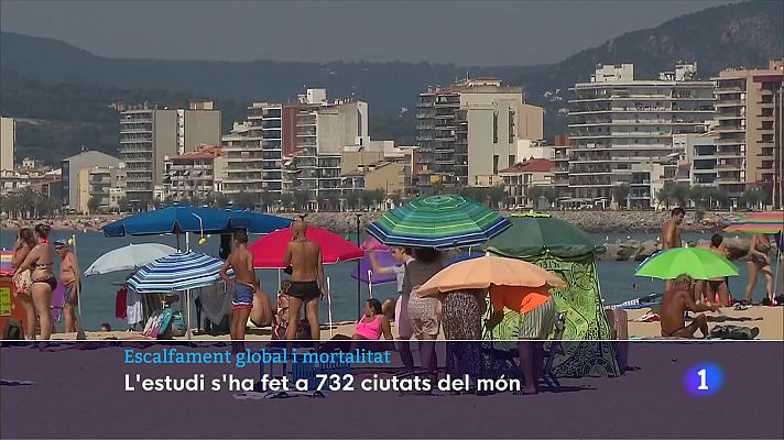 L'Informatiu - 111 persones han mort a Catalunya per l'augment de les temperatures