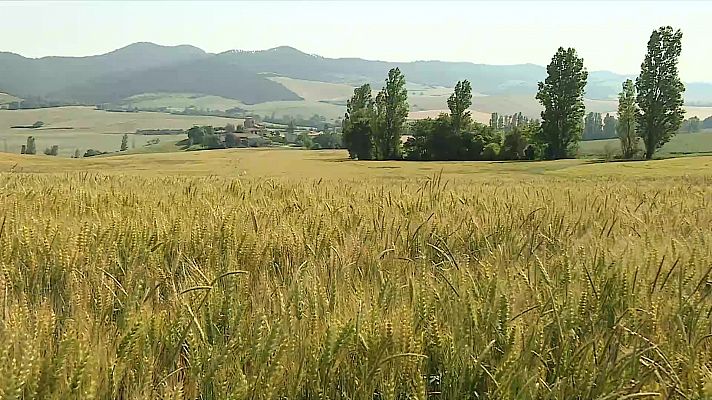 Chubascos y tormentas localmente fuertes en el este de Galicia, el entorno de la cordillera Cantábrica y en la Ibérica zaragozana