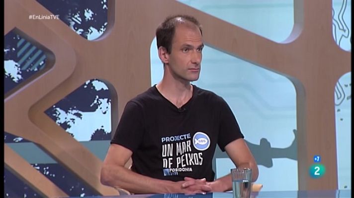 En Línia - La desaparició dels peixos del Maresme