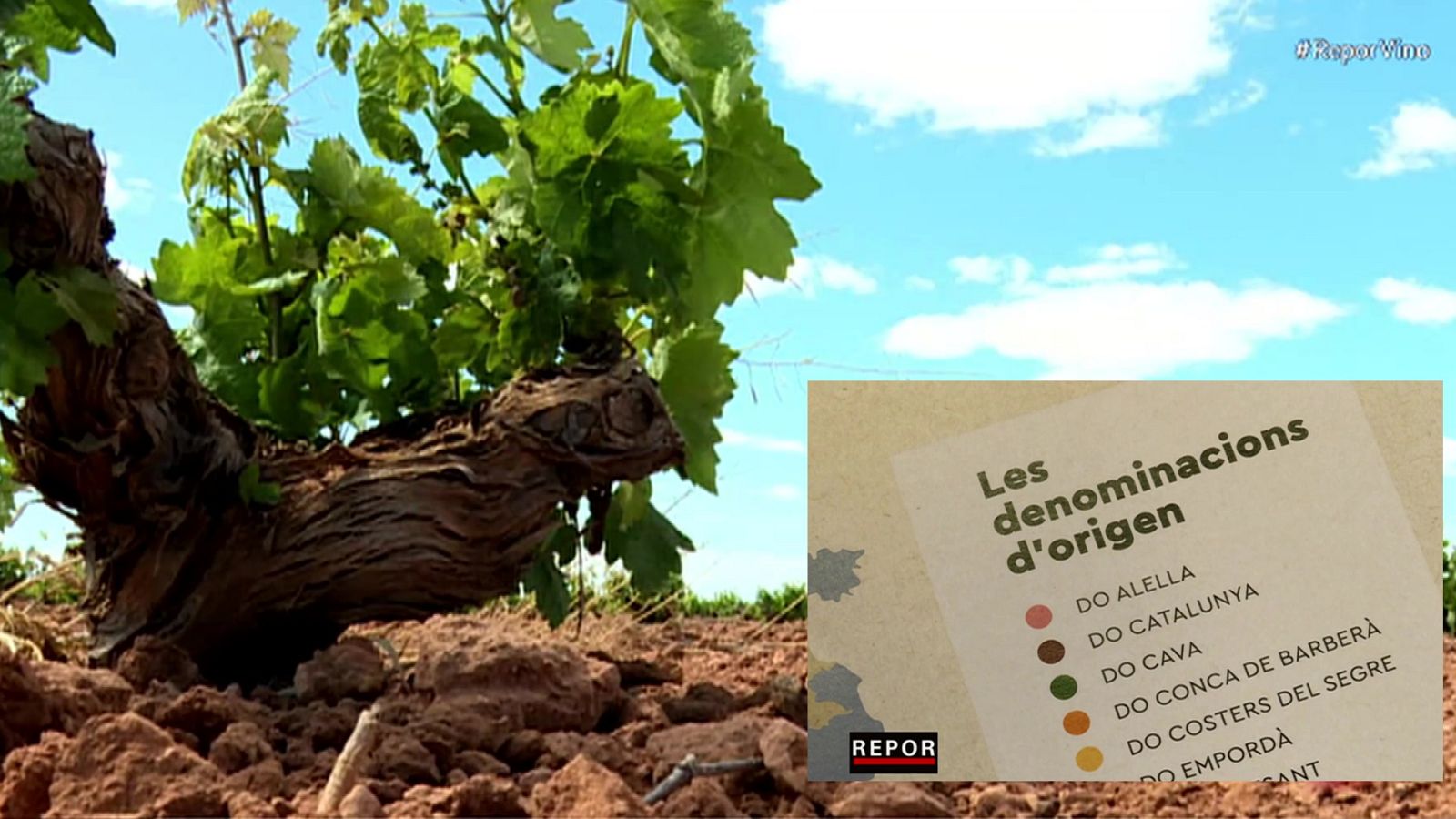 Repor - Conflictos de origen - ver ahora