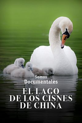 El lago de los cisnes de China