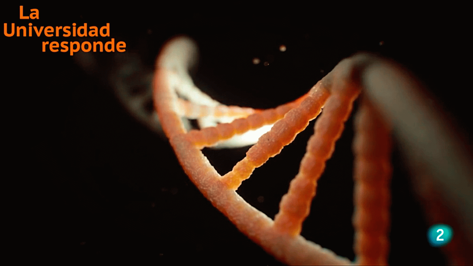 La aventura del saber alternativas antibacterianos actuales Autónoma de Barcelona Universidad Responde #AventuraSaberUResponde