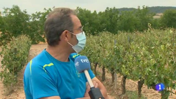 Informativo Telerioja - Informativo Telerioja 17/06/21