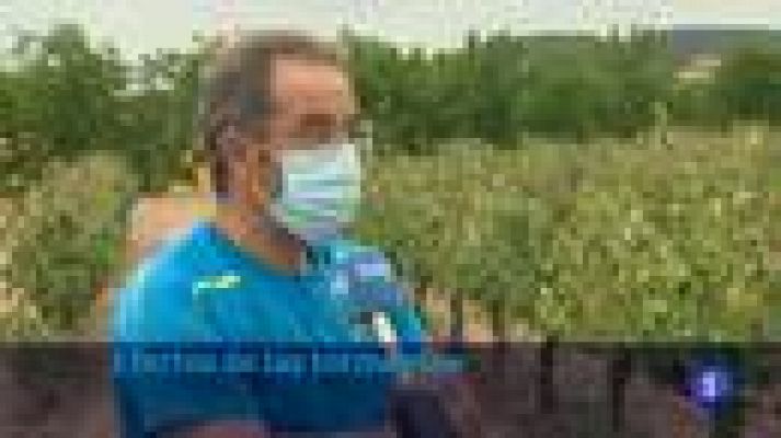 Informativo Telerioja - Informativo Telerioja 17/06/21