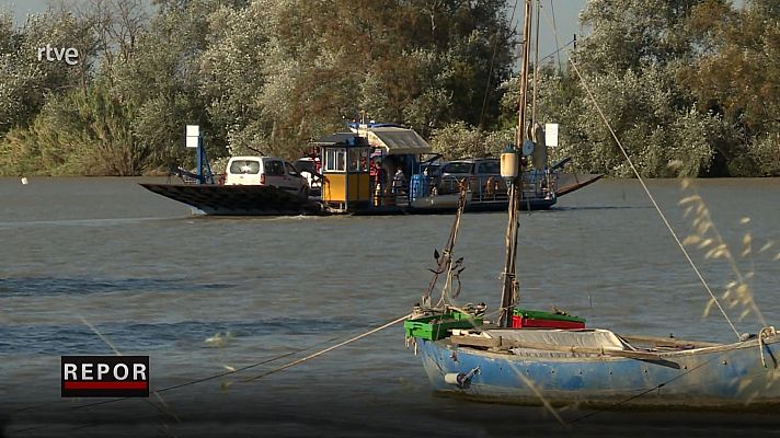 Repor - Konichiwa Coria