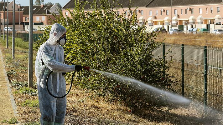 Detectan en Sevilla el primer caso en este año del virus del Nilo