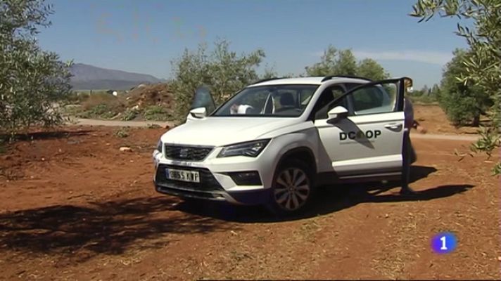 Noticias Andalucía - cooperativa andaluza de premio