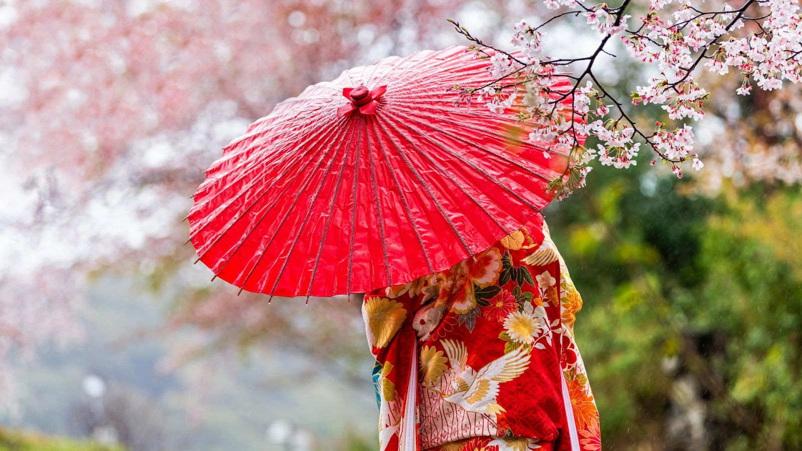 Qué es la belleza - Asia  - ver ahora