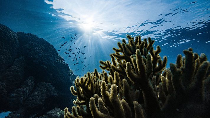 Conciénciate de la necesidad de conservar los océanos