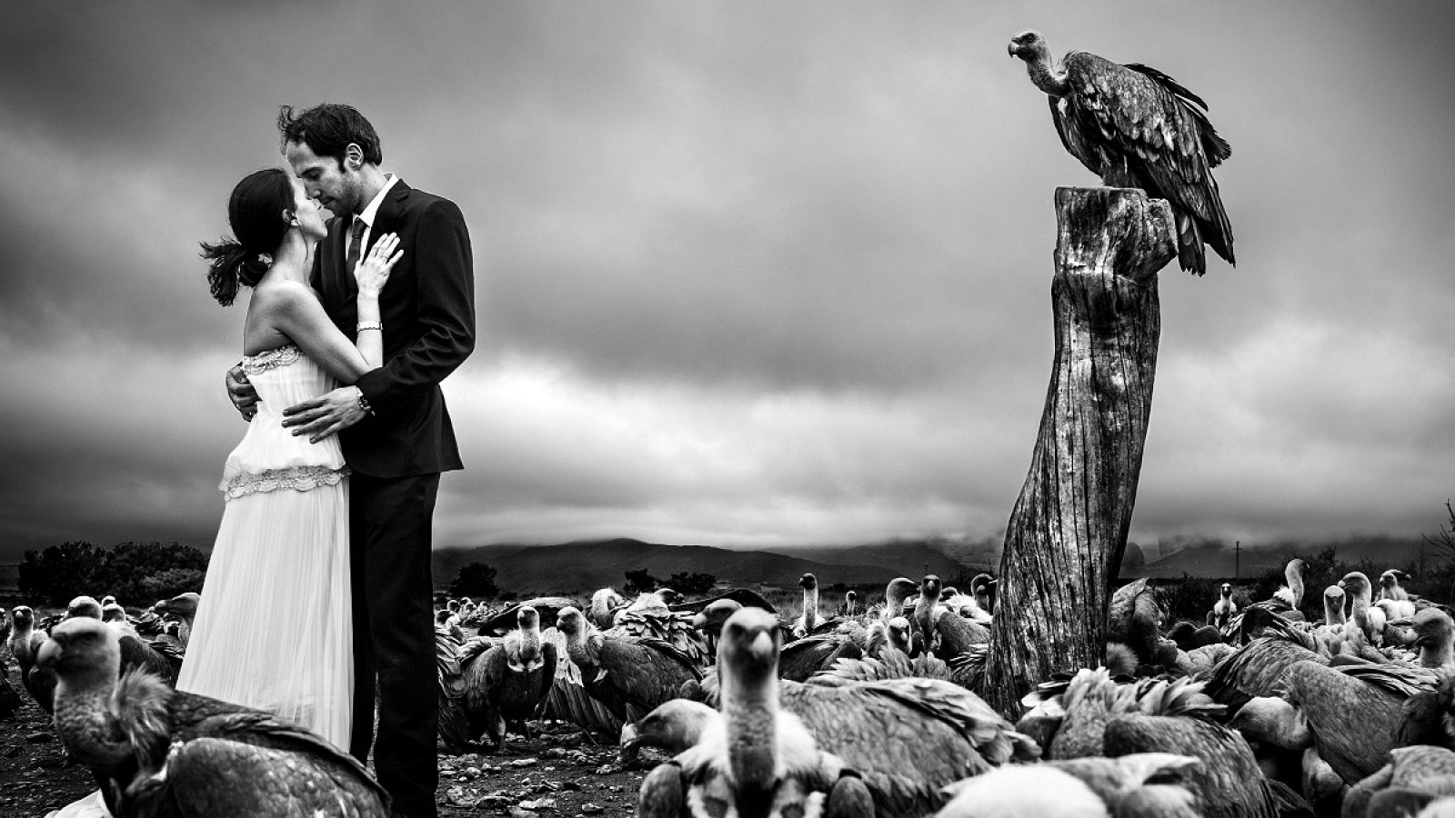 Detrás del instante - Novios entre buitres, foto de Víctor Lax