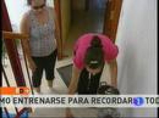 Vivir bajo la escalera