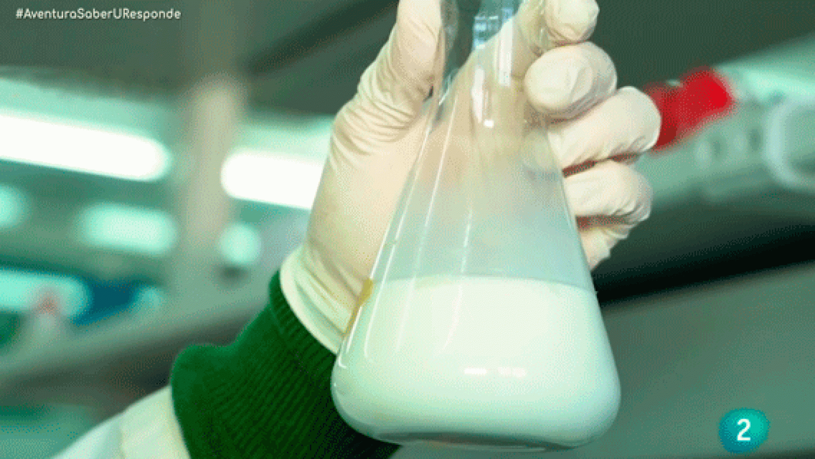 La aventura del saber beneficios kefir de leche de cabra salud Bioquímica Córdoba Universidad Responde #AventuraSaberUResponde
